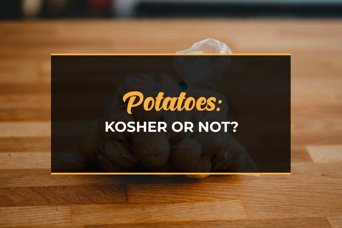 Potatoes: Kosher or Not?